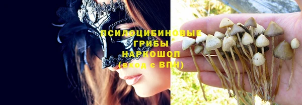 мяу мяу кристалл Гусев