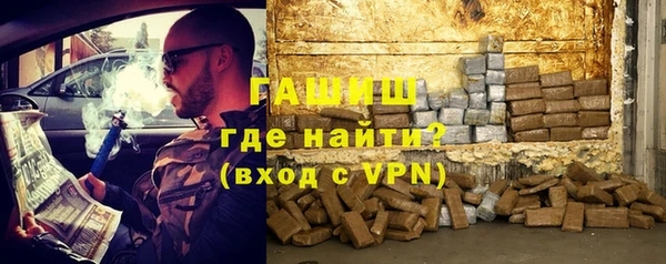 гидра Горнозаводск