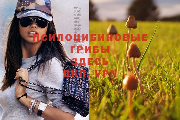 таблы Горняк