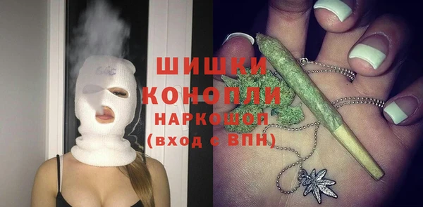 гидра Горнозаводск